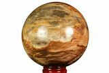 Colorful Petrified Wood Sphere - Madagascar #169136-1